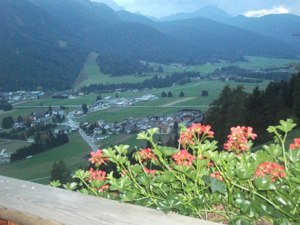Steinerhof Apartment Dobbiaco Ruang foto